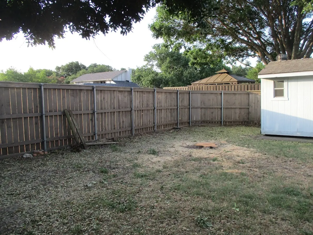 Cleared yard after professional tree removal in Shrewsbury